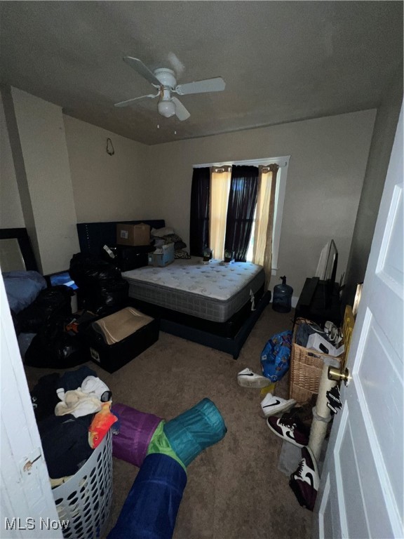 10010 Parmelee Avenue, Cleveland, Ohio image 10