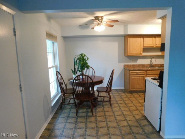 20487 Williamsburg Court 219C