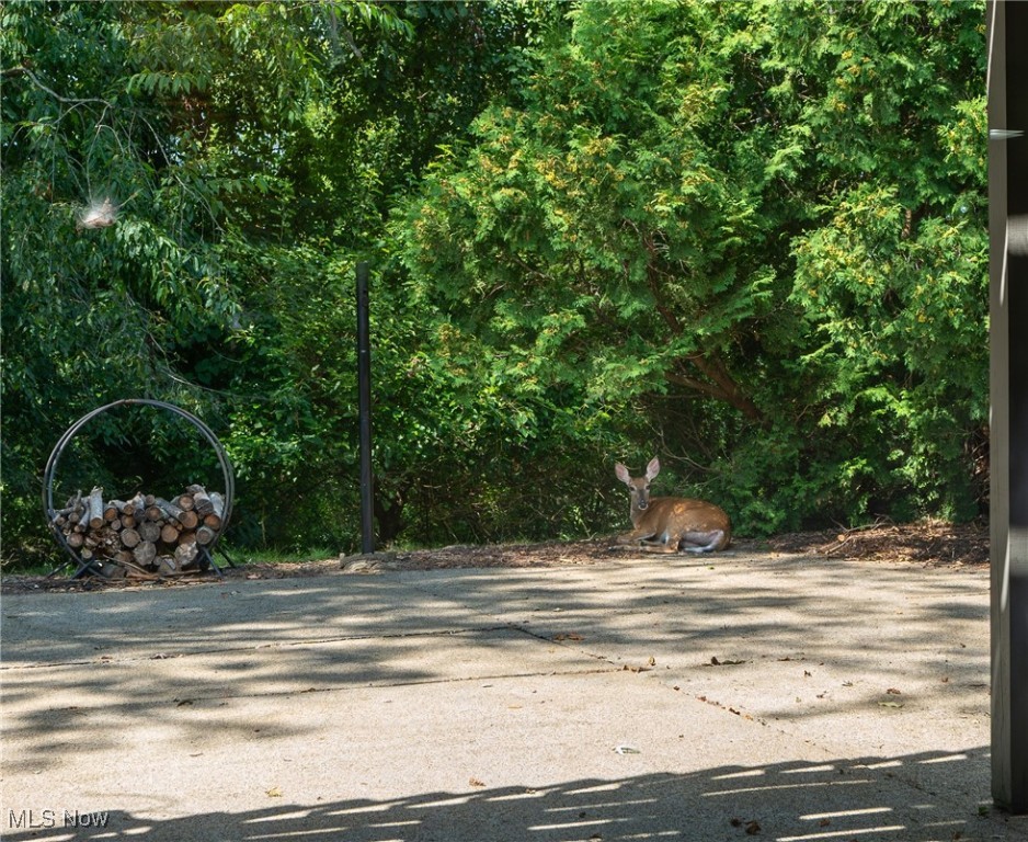 New Philadelphia - Residential