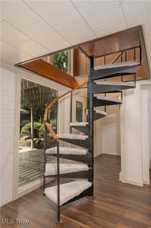 New Philadelphia - Residential