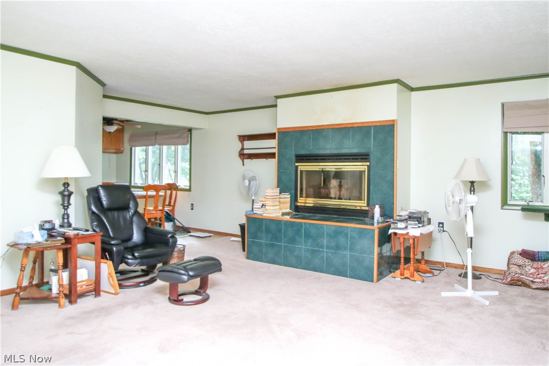 Leetonia Iron & Coal Co Add - Residential