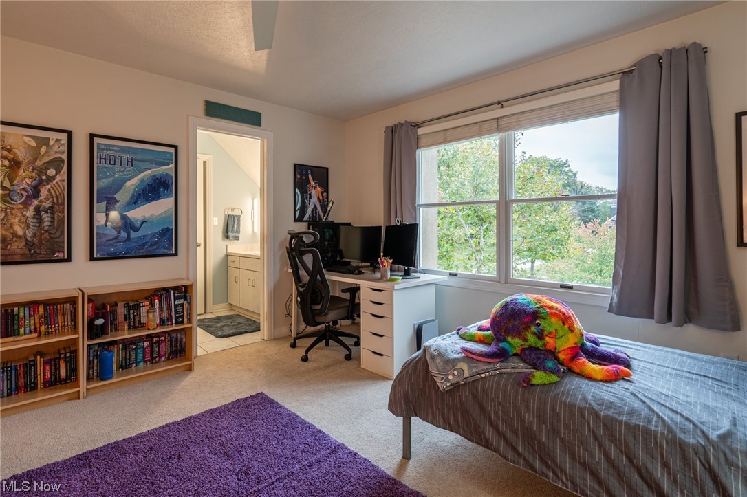 Winston Manor Ph IV - Residential