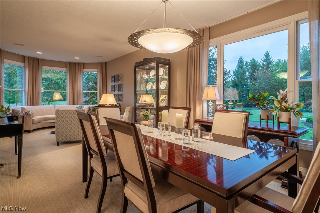 Winston Manor Ph IV - Residential