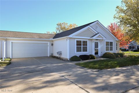 4544 Grand Teton Drive, Medina, OH 44256 - #: 5080824