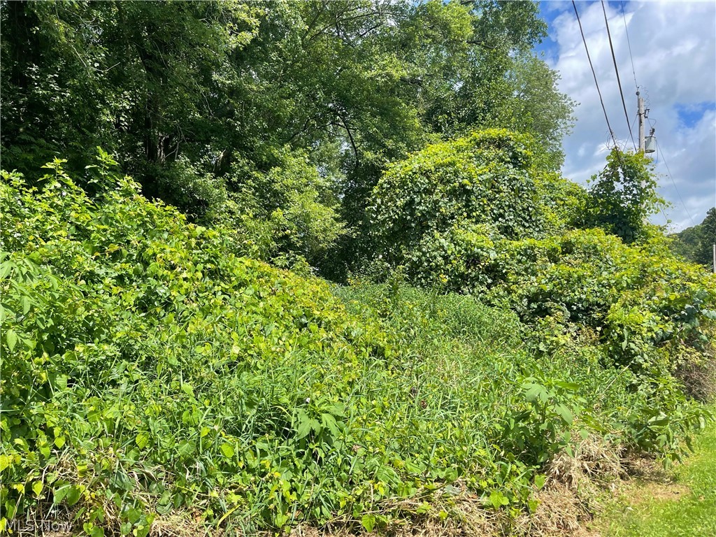 Cottonwood SD - Land