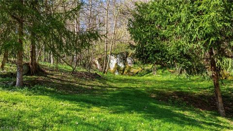 Tiny photo for 10155 Old River Road, Blue Rock, OH 43720 (MLS # 5202741)