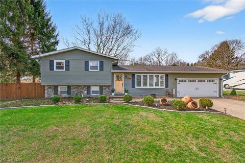 2994 Forestview Street NE Canton OH 44721