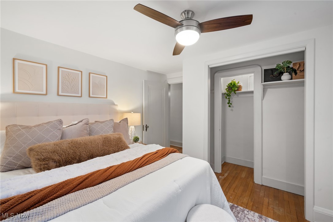 Wayne Park - Residential