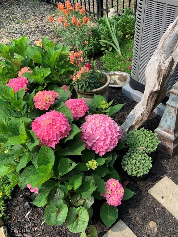 Wayne Park - Residential