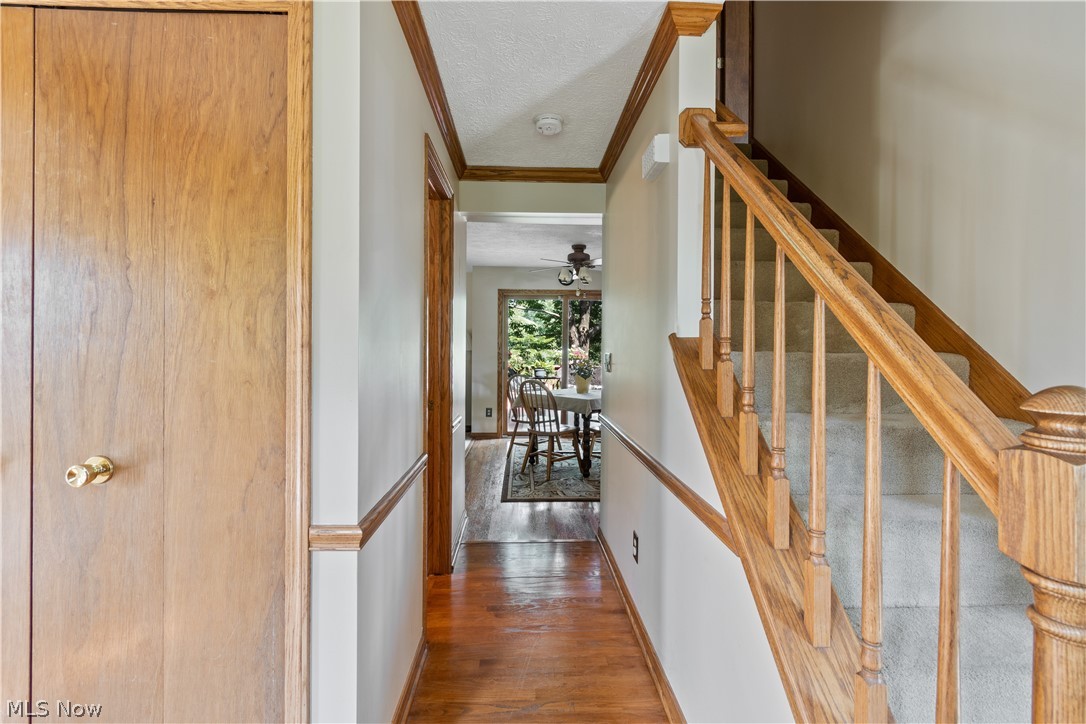 Meadow Wood - Residential