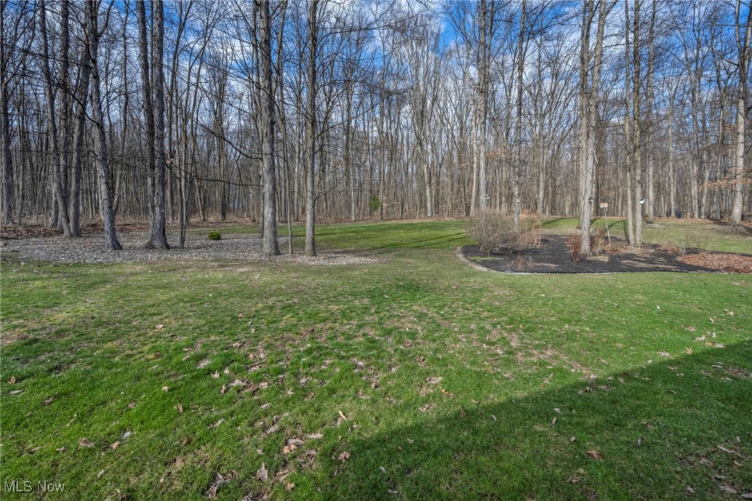 11446 Rolling Meadows Drive, Garrettsville, Ohio image 8