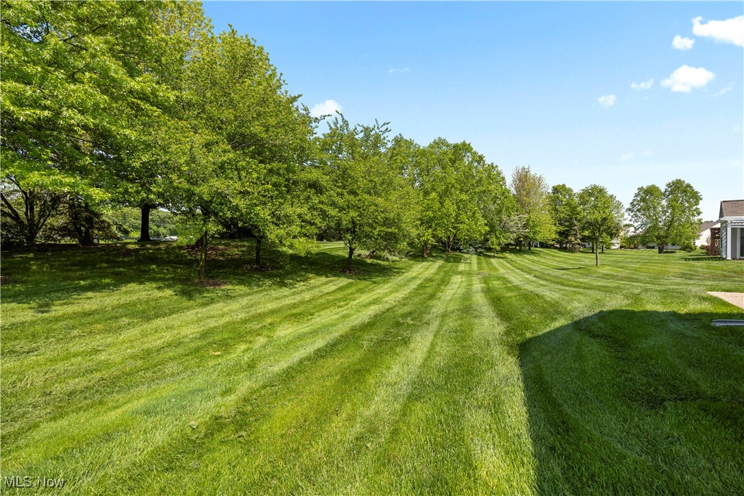 9328 Saw Mill Drive, North Ridgeville, Ohio image 37