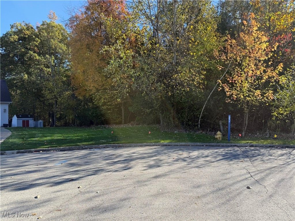 Photo of Birch Run Drive, Warren, OH 44483 (MLS # 5168452)