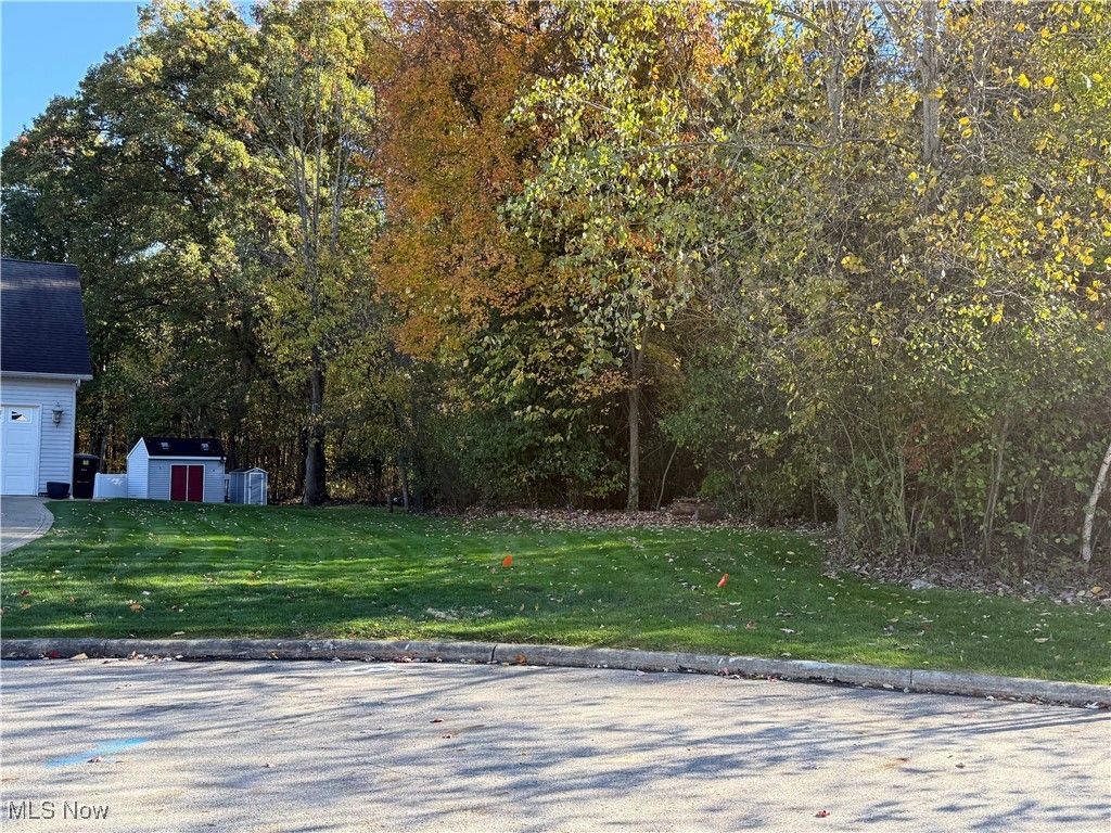 Photo of Birch Run Drive, Warren, OH 44483 (MLS # 5168452)
