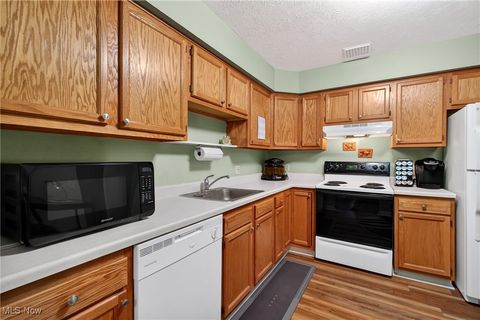 Tiny photo for 10373 Glenway Drive #202, Twinsburg, OH 44087 (MLS # 5178485)