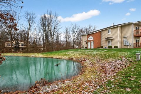 Tiny photo for 10373 Glenway Drive #202, Twinsburg, OH 44087 (MLS # 5178485)