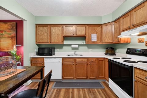 Tiny photo for 10373 Glenway Drive #202, Twinsburg, OH 44087 (MLS # 5178485)