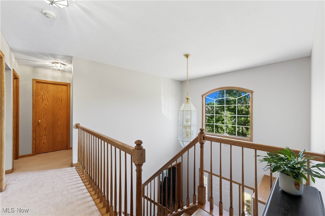 Boroughs - Residential