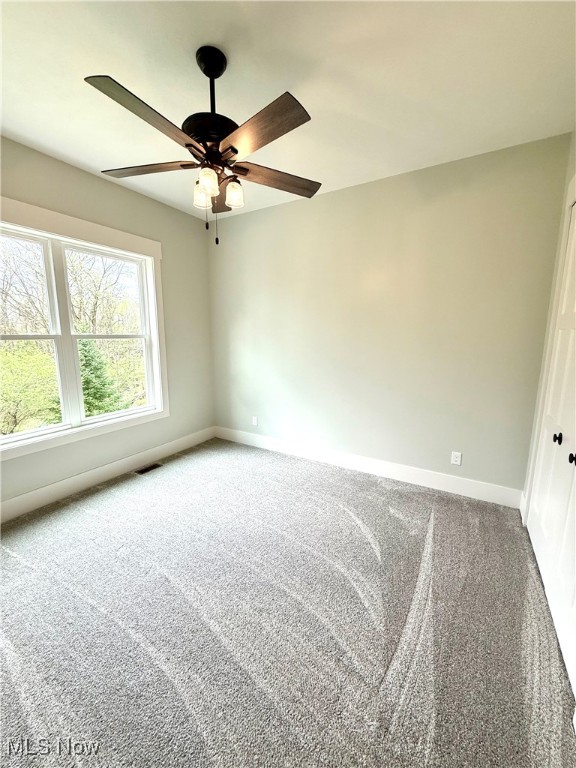 6028 Arlyne Lane, Medina, Ohio image 11