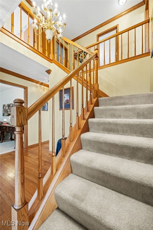 220 Countryside Drive