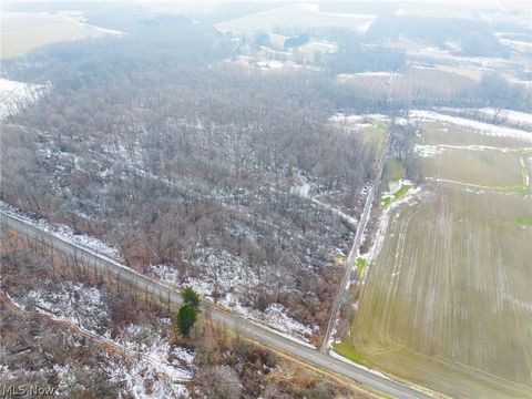 Vacant Land For Sale - 7389 Doylestown Road<br/> Wayne County, Sterling, OH 44276