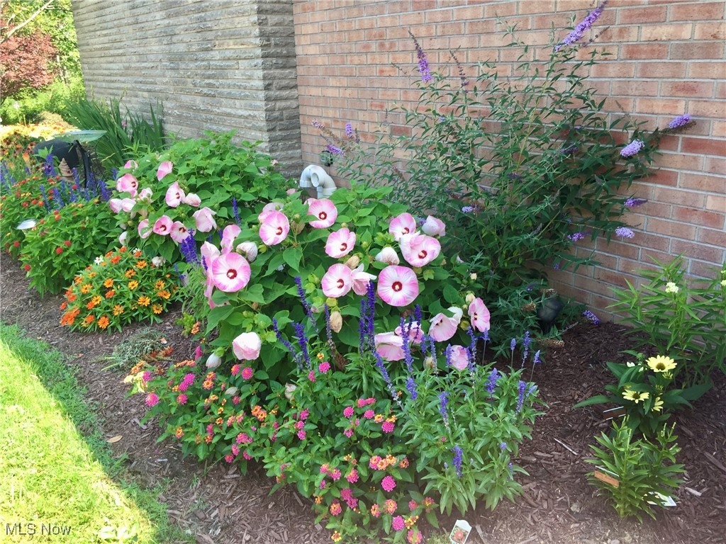 East Lawn Add - Residential