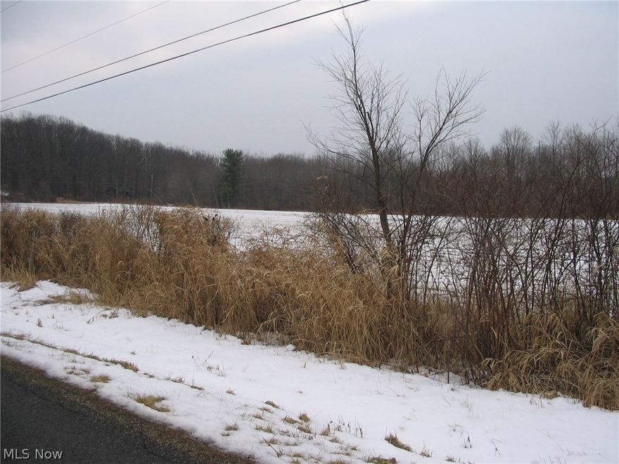Beautiful level 5.351 acre lot. Approximately 2/3 tillable & 1/2 wood. Endless possibilities. Property will need approval.