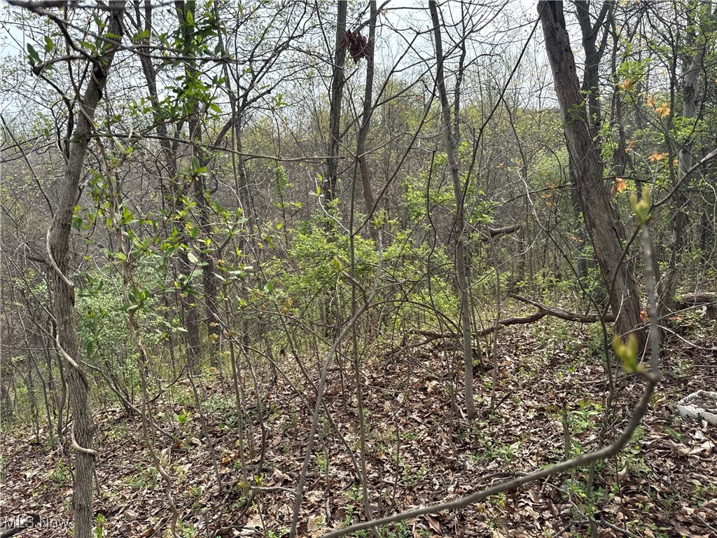 186 Crews Road, Patriot, Ohio image 30