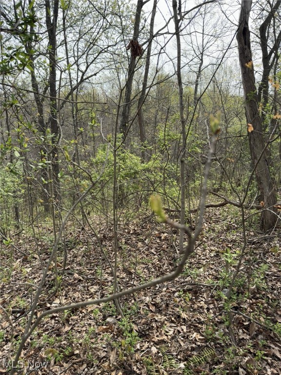 186 Crews Road, Patriot, Ohio image 16