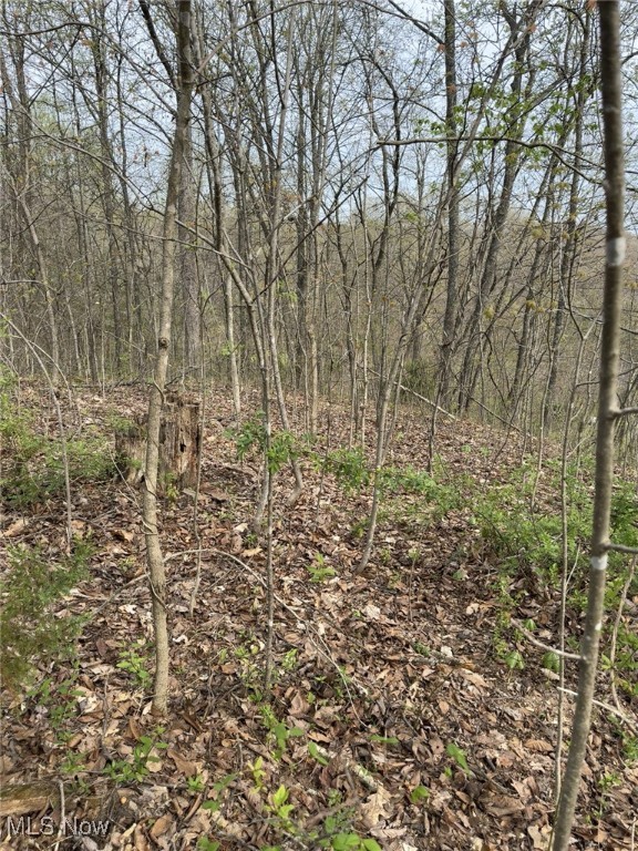 186 Crews Road, Patriot, Ohio image 29