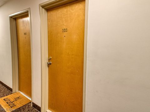 Tiny photo for 408 W Saint Clair Avenue #223, Cleveland, OH 44113 (MLS # 5190594)