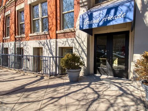 408 W Saint Clair Avenue 223 Cleveland OH 44113