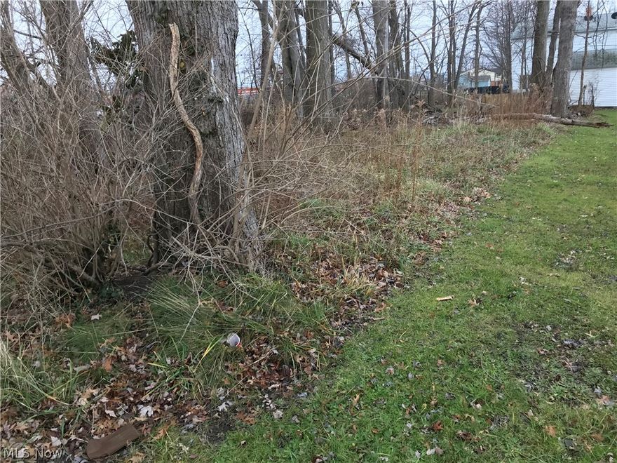 Wooded treed lot ready for an owner to build on.  Close to Restaurants, shopping and Lake Erie...Utilites are accessible and sign is on the property....Agent owned