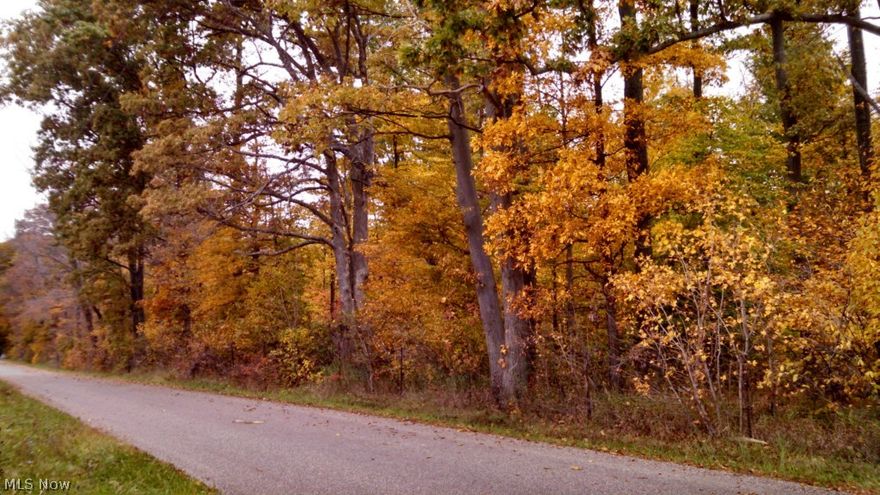 Beautiful wooded lot located in Tuslaw School district.  This is the lot you have been waiting on!  Get ready for your spring build!  Subject to final survey. Convenient to Rts 30 and 21