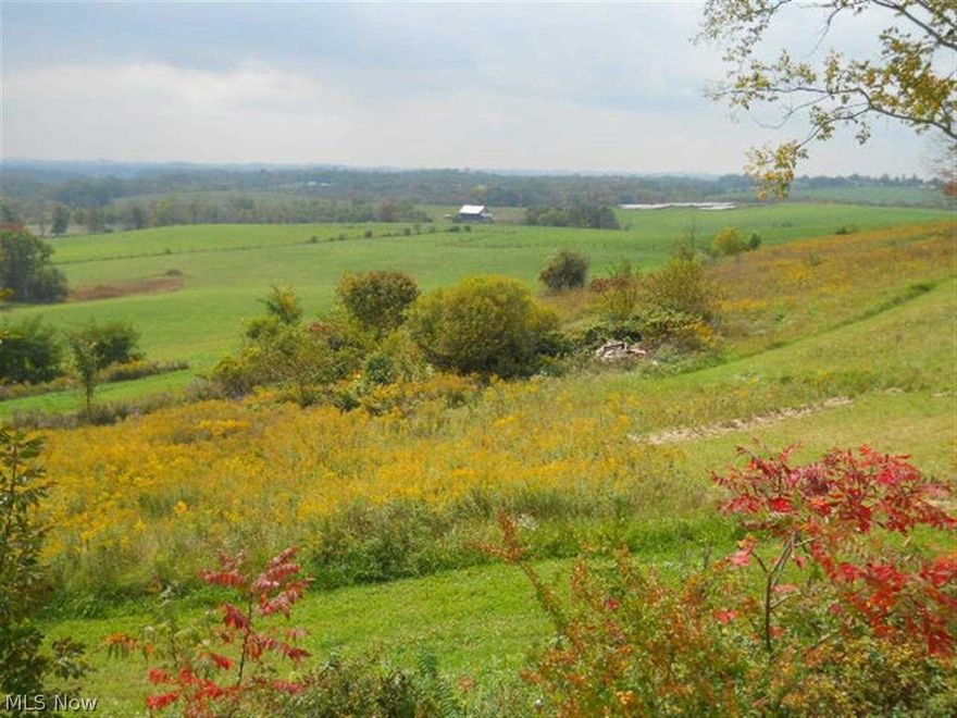 Taxes are TBD. Some of the last available land on St Rt 250 that is great for building your dream home. Beautiful country view, but still close enough to everything needed. 15 minutes to St. Clairsville. Electricity on property and water nearby.