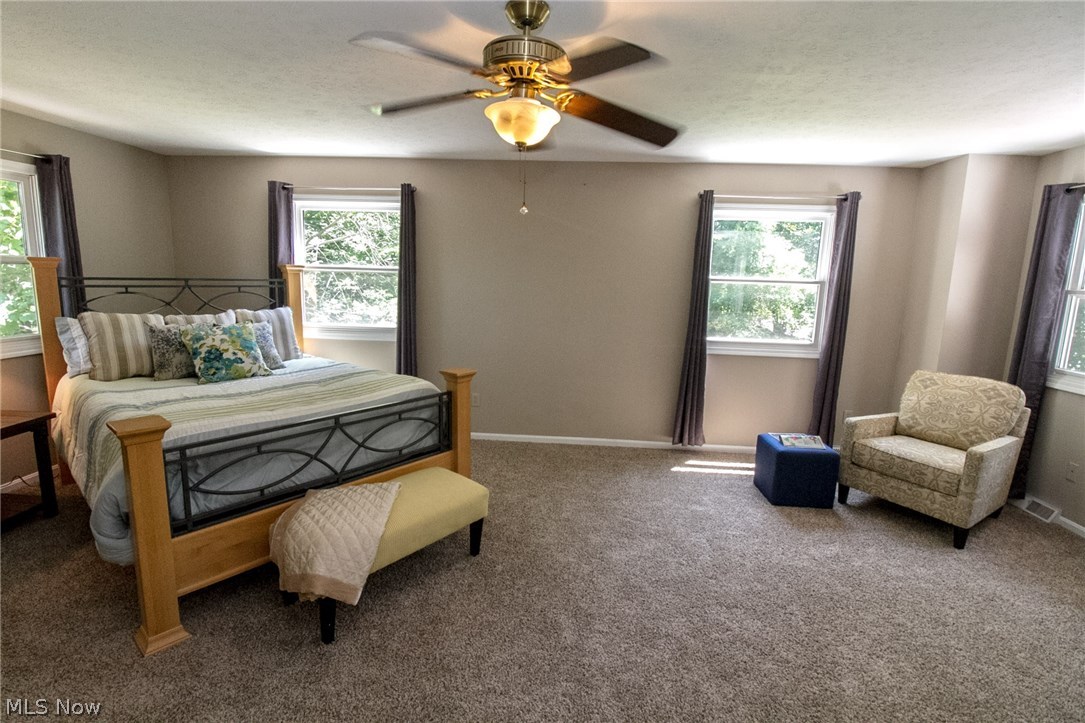 Alpine Drive - Residential