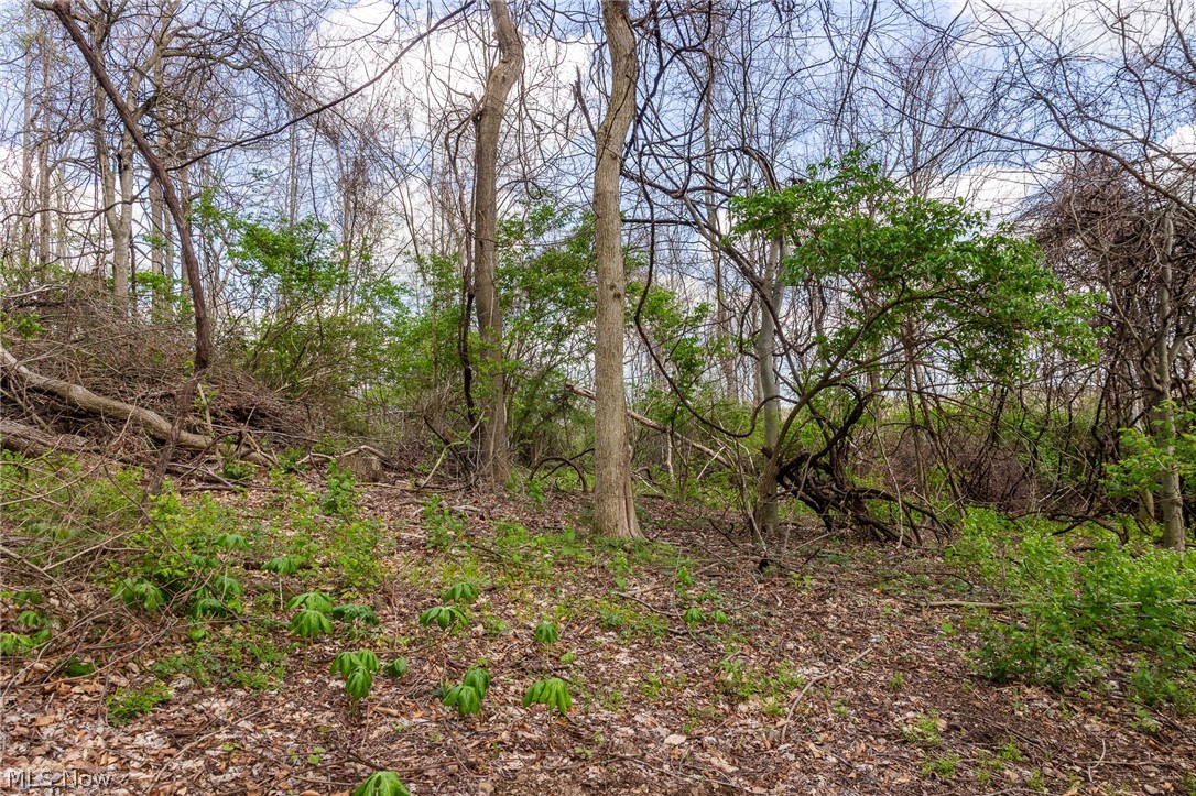 105 W Hanley Road