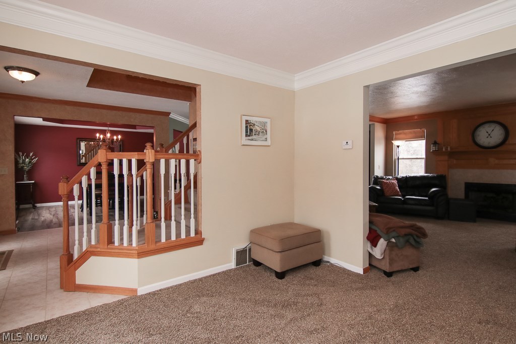 Dover Heights - Residential