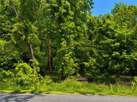 Vacant Land For Sale - Sunset<br/> Bridgeport, OH 43912