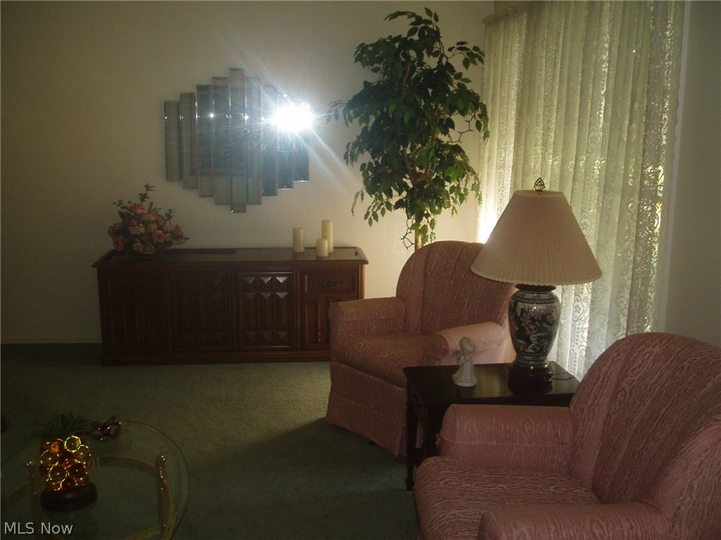 Puritas Gardens Sub/Merrick-Kleis - Residential