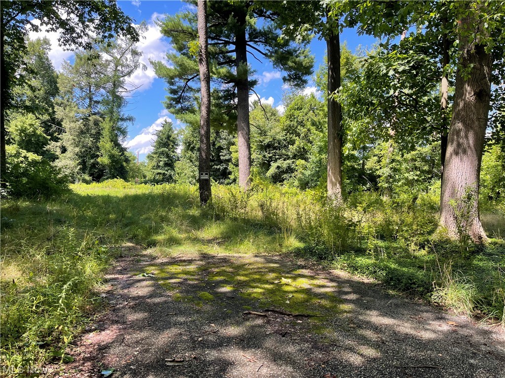Desirable location in Sagamore Hills - 1.27 acres of wooded flat land . Beautiful private lot just waiting for your Dream Home to be built ! Just bring your builder. All utilities available on property - gas, electric, public water & sewer ! Properties driveway is directly to the left off of Valley View. Contact list agent for your personal showing.