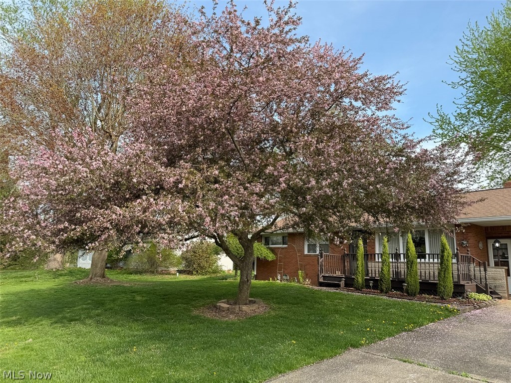 Fair View Allotment 02 - Residential