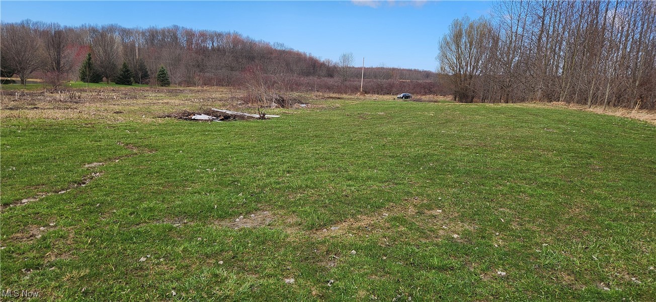 V/L Weaver Road, Conneaut, Ohio image 3