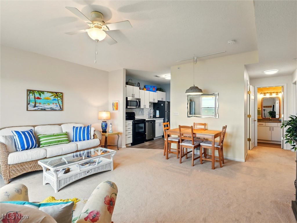 5237 Lake Road #1103, Ashtabula, Ohio image 7