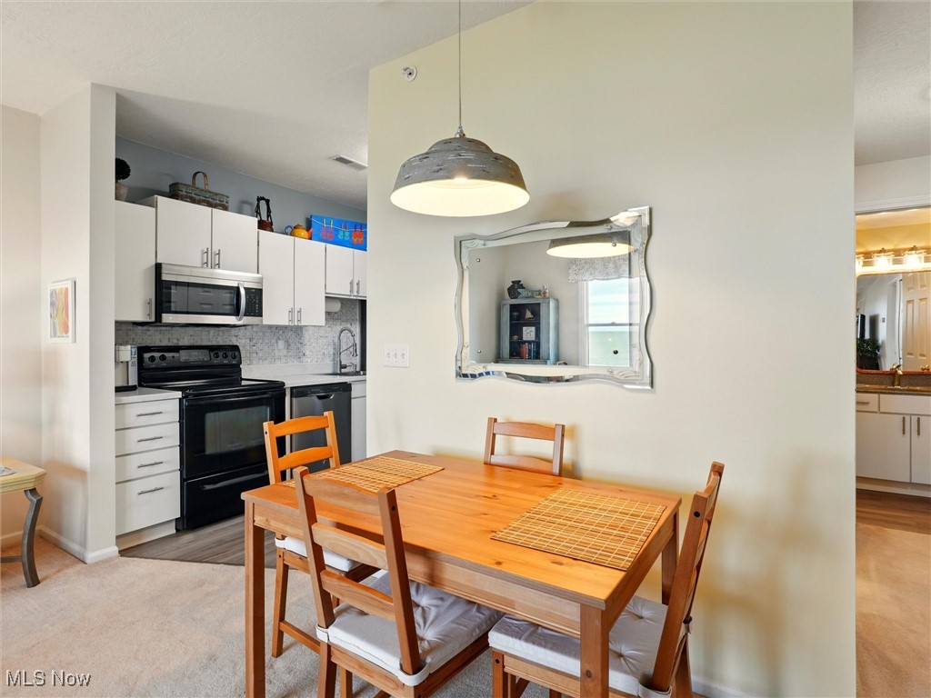 5237 Lake Road #1103, Ashtabula, Ohio image 13