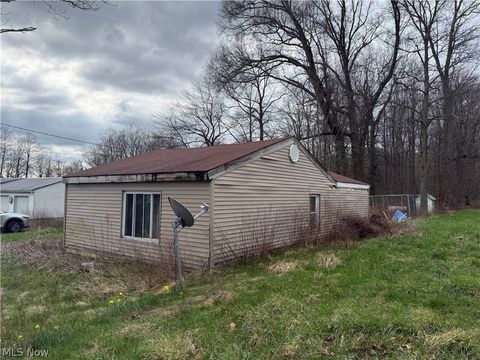 Tiny photo for 49011 Brushville Road, East Palestine, OH 44413 (MLS # 5198617)