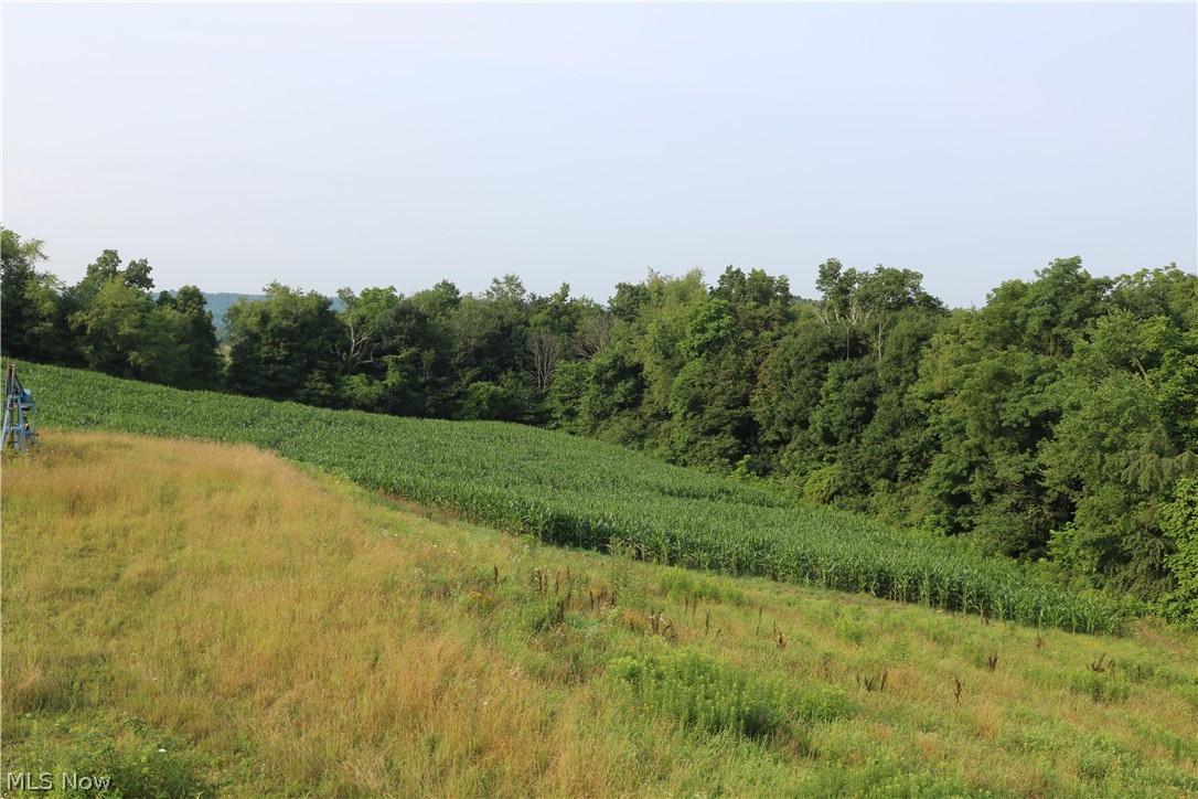 Township/Millcreek - Land