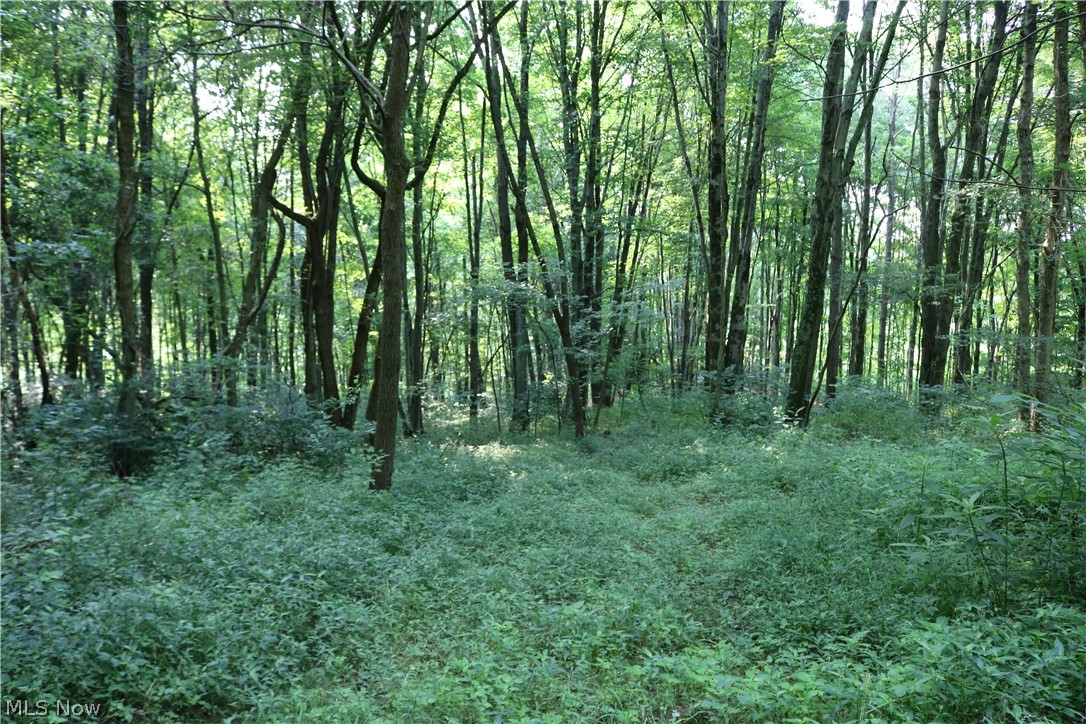 Township/Millcreek - Land