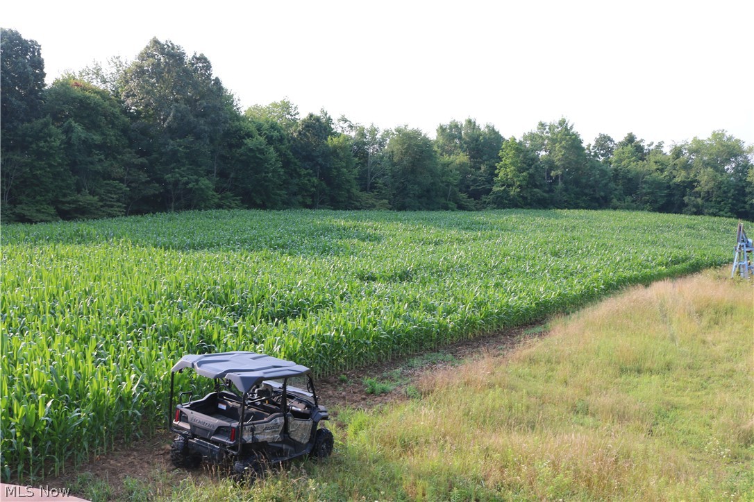 Township/Millcreek - Land