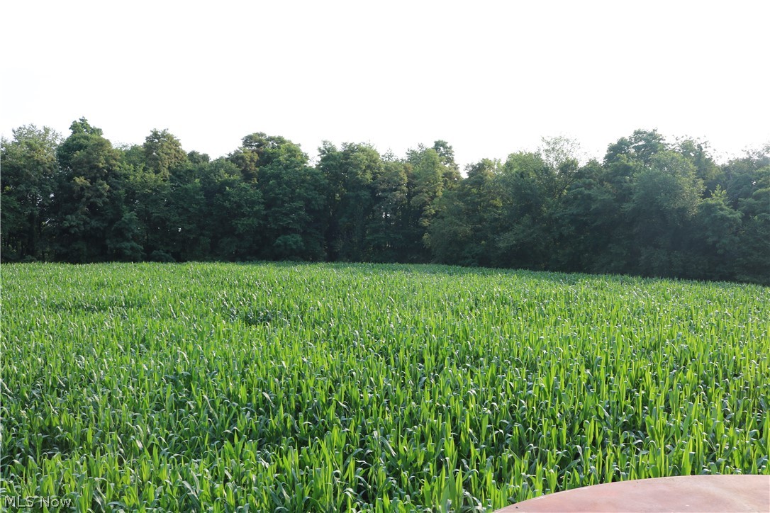 Township/Millcreek - Land